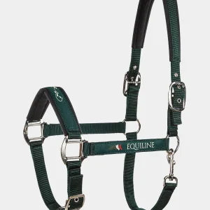 TIMMY - CAPEZZA VERDE