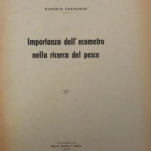 Importanza dell'ecometro nella ricerca del pesce