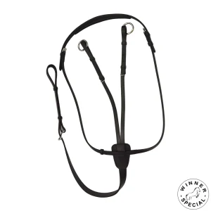 MARTINGALA WINNER SPECIAL A COLLIER