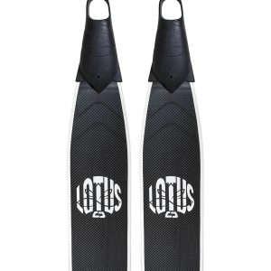 PINNE LOTUS  CARBON Cetma  LTC