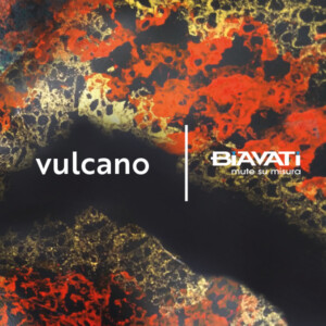 MIMETISMO SU LISCIO Biavati   SCBZMIMVER